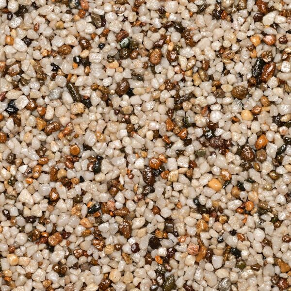 WS StoneBinder Sea Shell